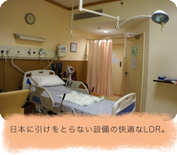 日本に引けをとらない設備の快適なLDR。