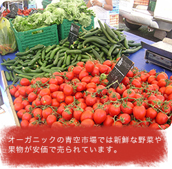 オーガニックの青空市場では新鮮な野菜や果物が安価で売られています。